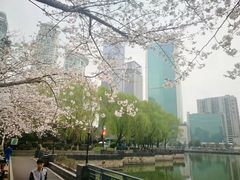 -西北湖绿化广场