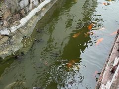 -豫园