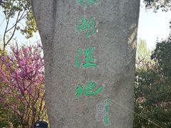 -溱湖国家湿地公园