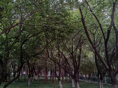 -西安市长乐公园