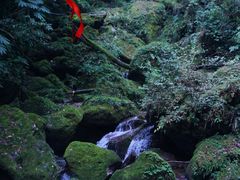 -青城山