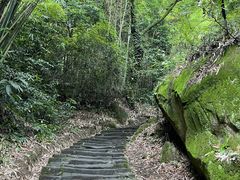 -缙云山景区