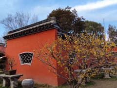 -无锡梅园公园