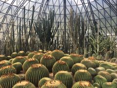 -深圳仙湖植物园-停车场
