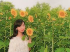 -奥林匹克森林公园北园-停车场