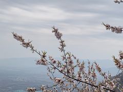-北京凤凰岭
