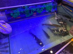 -山里屯铁锅炖·东北菜(康桥店)