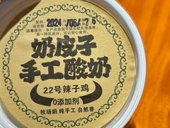 -柴窝堡22号传承新疆菜·新疆辣子鸡