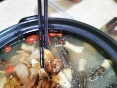 -蘑统田下·野生菌火锅