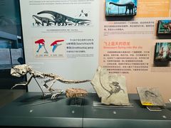 -北京大学赛克勒考古与艺术博物馆