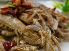 -大众海鲜(巨龙北路店)