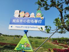 -苏州太湖西山岛开心农场
