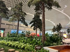 -青岛胶东国际机场