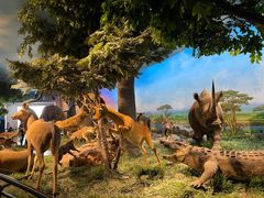 -国家自然博物馆