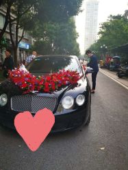 -蚂蚁婚车