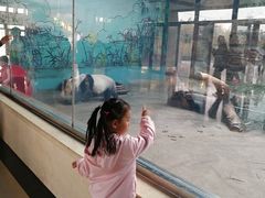 -石家庄市动物园