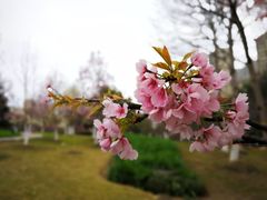 -白塘生态植物园