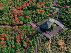 -大围山国家森林公园
