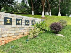 -玉树公园