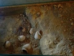 -青岛葡萄酒博物馆