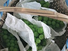 -马陆小张葡萄园农家乐