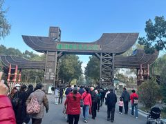 -溱湖国家湿地公园