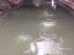 -天赐温泉