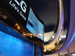 -迪拜水族馆及水下动物园