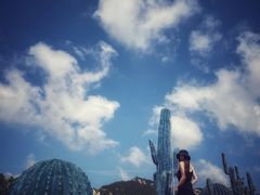 -西海岸生态观光园