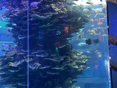 -泉城欧乐堡海洋极地世界
