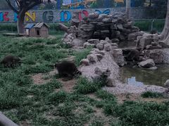 -辛玛王国游乐园