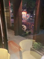 -香秀空间科技抗衰·美容中心