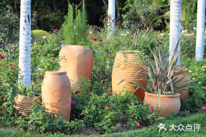 人民公园(罗湖区)图片