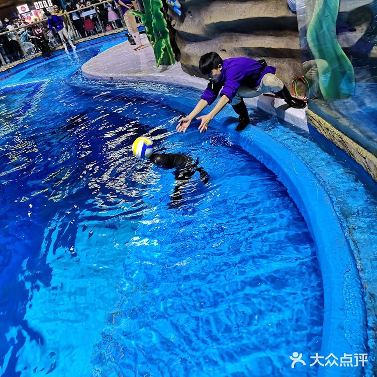 #昆明亲子游#99块玩转融创海世界!