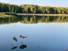 -素心小筑(后沙裕镇店)