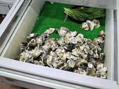 -大富蚝乌东哥饭店·石锅鱼杂·柠檬鸭(革新路店)