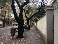 -复旦大学附属华山医院(总院)