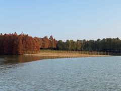 -上海海湾国家森林公园