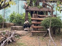 -南宁市动物园