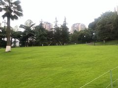 -龙头寺公园