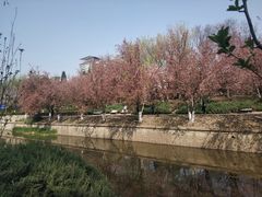 -元大都城垣遗址公园