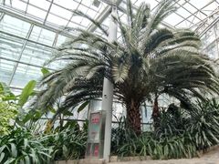 -郑州植物园