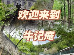 -鲁山国家森林公园