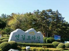 android_upload_pic-帽儿山国家森林公园