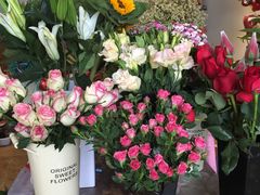 -田园花舍花店(北城未来实体店)