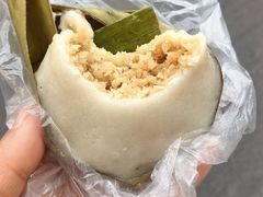 -东郊椰林