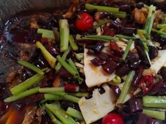 老板恋上鱼-老板恋上鱼(高新万达店)
