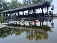 -金银湖国家城市湿地公园