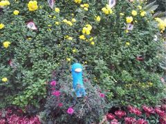 iphone_upload_pic-迎泽公园