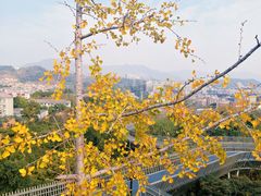 -梅峰山地公园